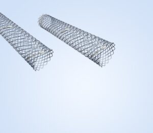EndoXpert™ Biliary Metal Stent