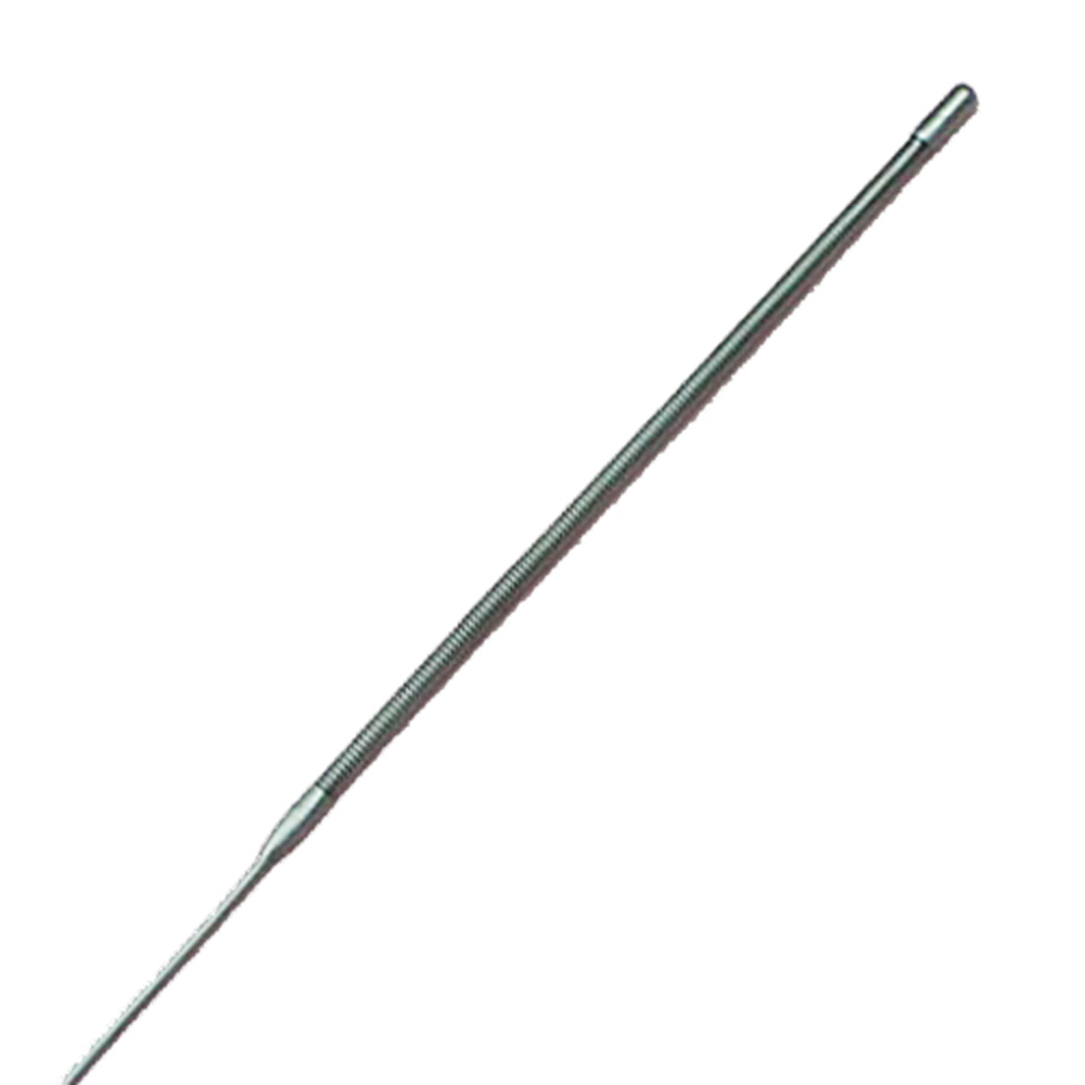 EndoXpert™ Spring Tip Guide Wire